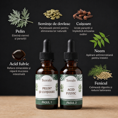 Kit de detoxifiere intestinală în 2 etape Evicta - 5668EVC-RO