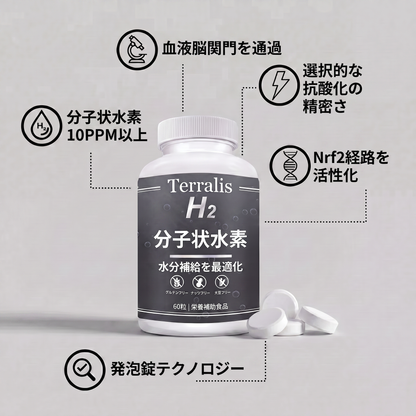 Hydrava H2 -jp