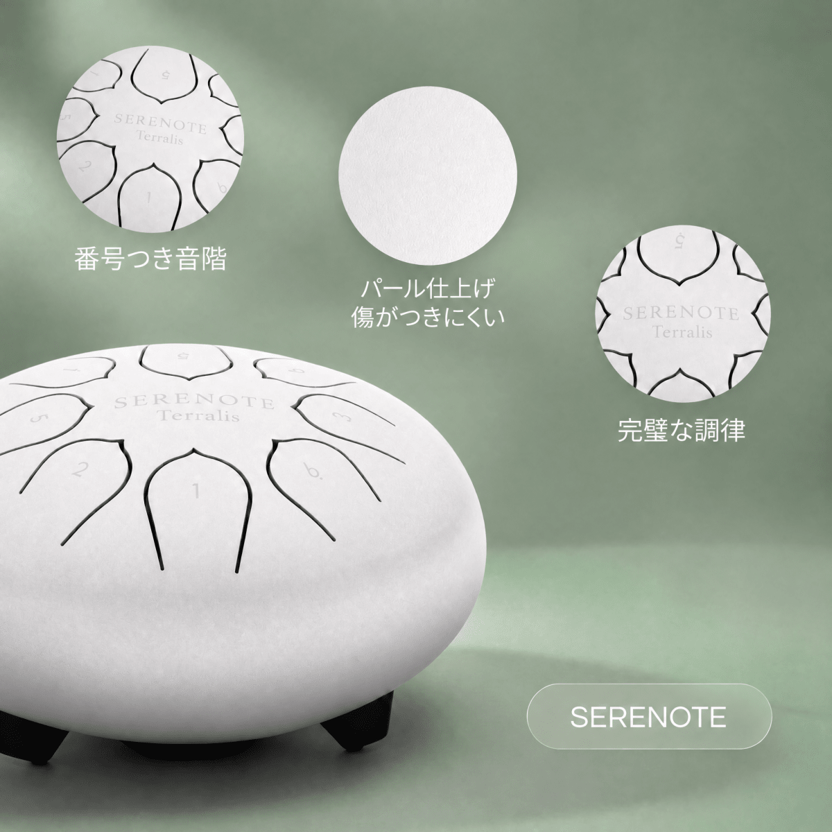 serenote-jp-bdp
